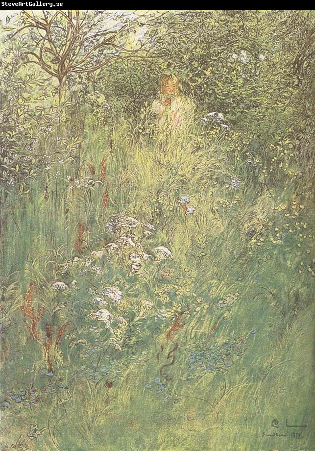 Carl Larsson in the Hawthorn Hedge